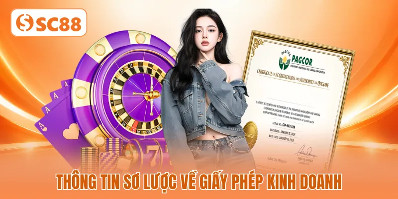 Thông tin sơ lược về giấy phép kinh doanh